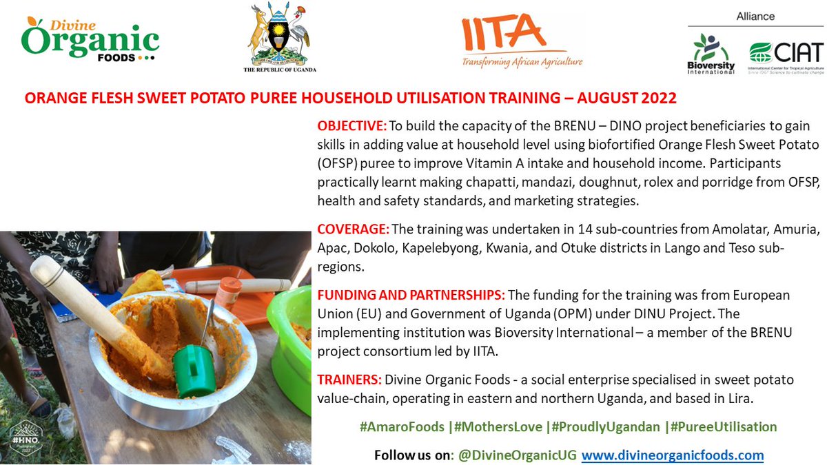 DivineOrganicUg's tweet image. Flashback Aug 2022: We trained households from 14 sub-counties in Lango and Teso in adding value to #OFSP to increase vitamin A intake and household income.

DINU was funded by @EU_Commission &amp;amp; GoU, implemented by @BiovIntCIAT_eng - a consortium member of BRENU led by @IITA_CGIAR