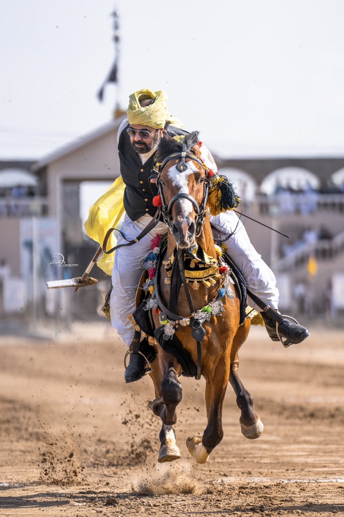 Tent pegging