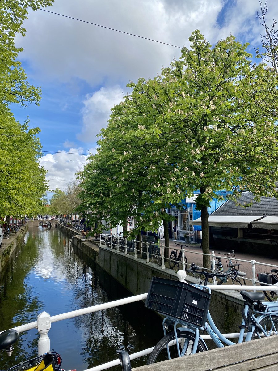⁦@TLarina1837⁩ Delft blue sky of the day.