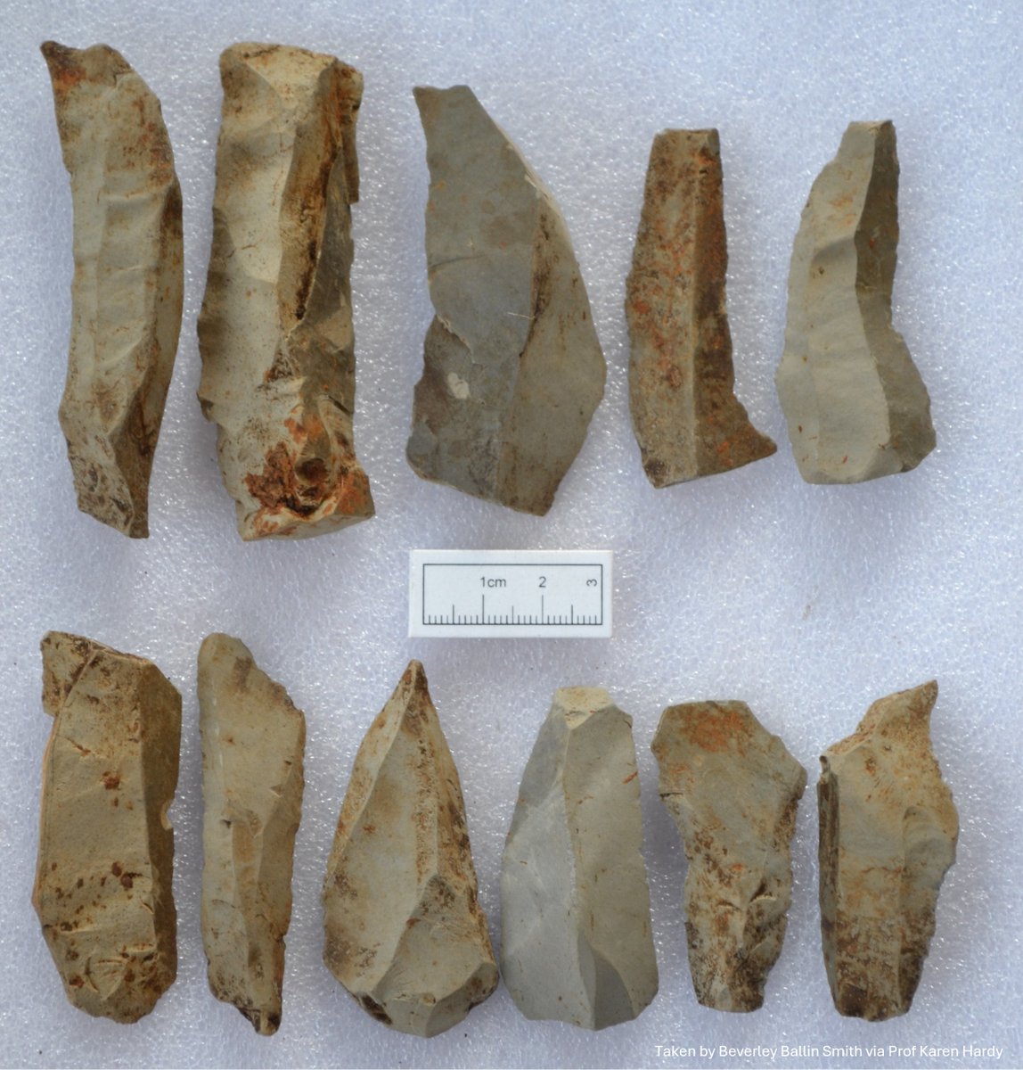 These tiny stone tools found in the Inner Hebrides were left behind by people who arrived in Scotland around 12,000 years ago. On 25 May, discover what happened when experts discovered a new Ahrensburgian site on An t-Eilean Sgitheanach (Skye): bit.ly/Arp24 #ARP2024