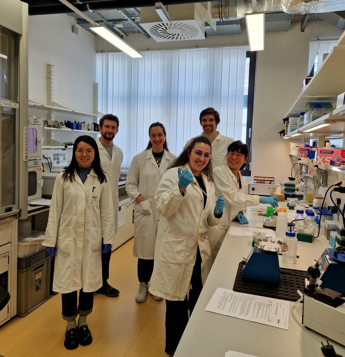 microbialoceanW's tweet image. Successful completion of the training workshop on &quot;Protein extraction of environmental samples&quot; instructed by @MaryPapadatou &amp;amp; @microbialoceanW.

MoVie group happily hosted Benjamin Pontiller from @GEOMAR_en and members of the @univienna Bio-Oceanography &amp;amp; Marine Biology Unit.