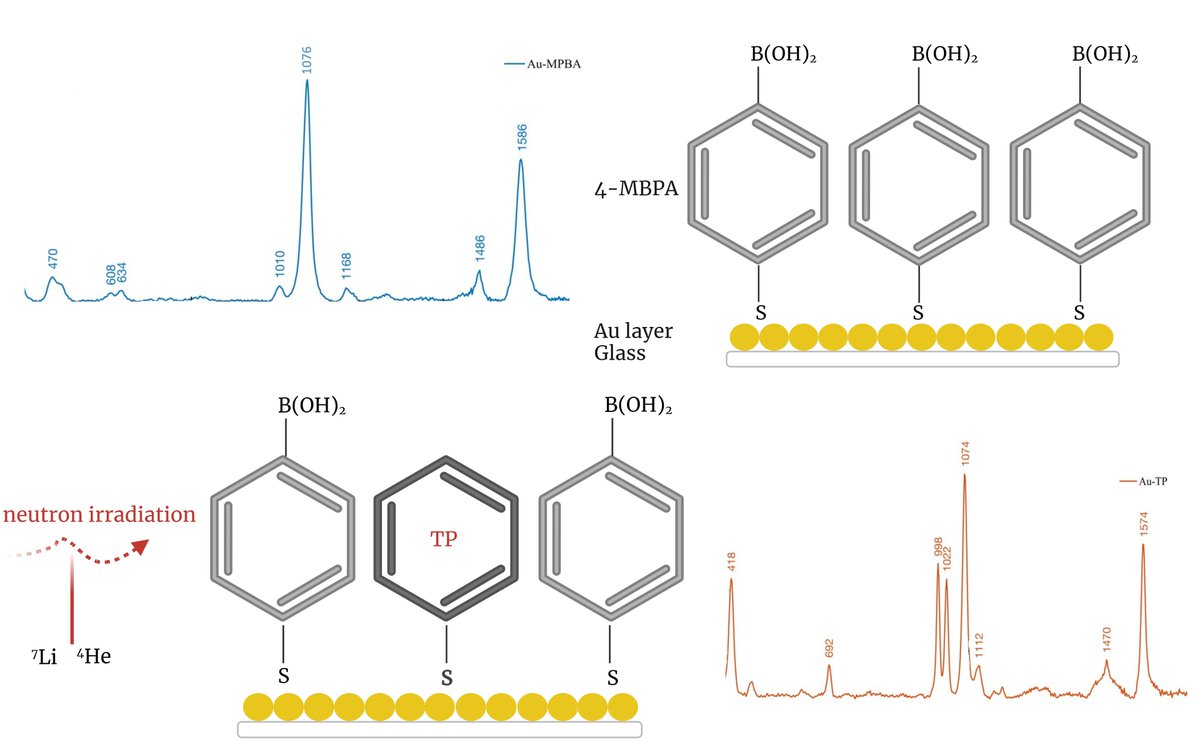 A collaborative team from CNR-IPCF, @cref_official and Universities of Tor Vergata and Messina have found that surface-enhanced #Raman #spectroscopy could be a powerful technique in the development of #neutron dosimetry further to tests at VESUVIO bit.ly/3UwFnOm