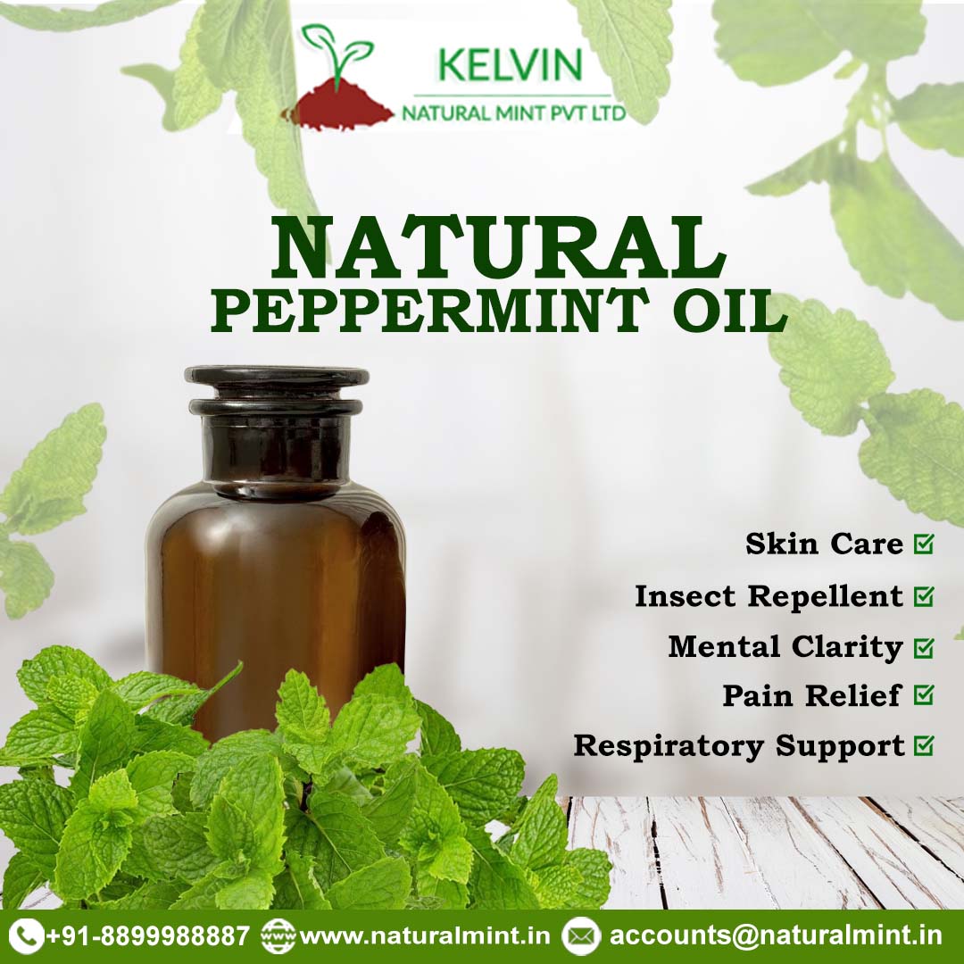Benefits of our 𝐍𝐚𝐭𝐮𝐫𝐚𝐥 𝐏𝐞𝐩𝐩𝐞𝐫𝐦𝐢𝐧𝐭 𝐎𝐢𝐥:

✔️ Skin Care
✔️ Insect Repellent
✔️ Mantel Clarity
✔️ Pain Relief
✔️ Respiratory Support

#KelvinNaturalMint #PeppermintOil #NaturalPeppermintOil #NaturalRemedies #SkinCare #InsectRepellent #MentalClarity #PainRelief