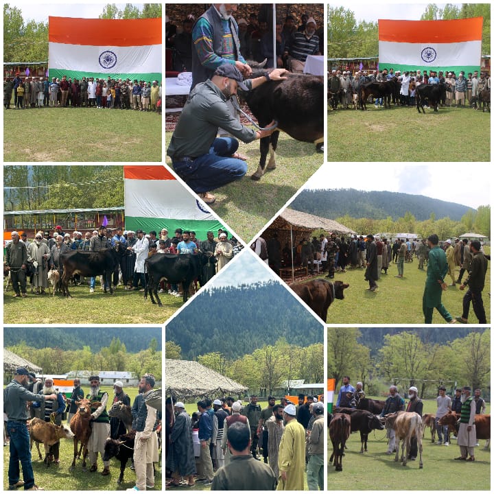 Bringing Care Close: Indian Army's Veterinary Camp in Lolab

#IgnitingMinds
#TransformingIndia
#IndianArmyNationBuilding
#VibrantVillages
#GreenArmy
#SustainableFuture