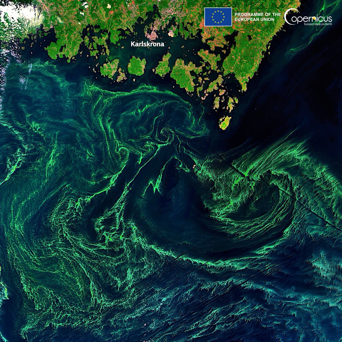 #EUSpace 🛰️🇪🇺 for #EUGreenDeal #Copernicus 🛰️🇪🇺 supports the #BlueEconomy It will help us to meet the EU's environmental and climate goals by informing 💧assessments of water quality 🎣mapping of fishing zones 🌊monitoring of algal blooms More at👇 defence-industry-space.ec.europa.eu/eu-space/coper…