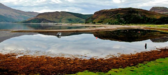 DP Wilson tweet media