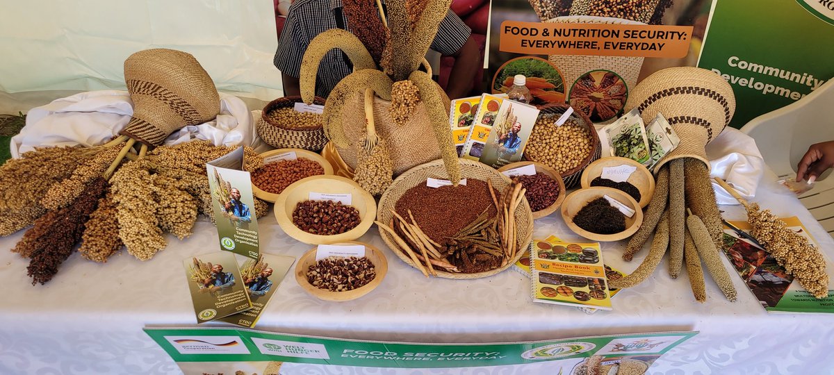 Our partner @CtdtZimbabwe is exhibiting under the @MoLAFWRD_Zim 🇿🇼 Partners banner. CTDO works in over 30 districts, running projects like ELINA in partnership with @Welthungerhilfe. For #ZITF2024 they are running with the theme 'Food & Nutrition Security. Everywhere, Everyday'.