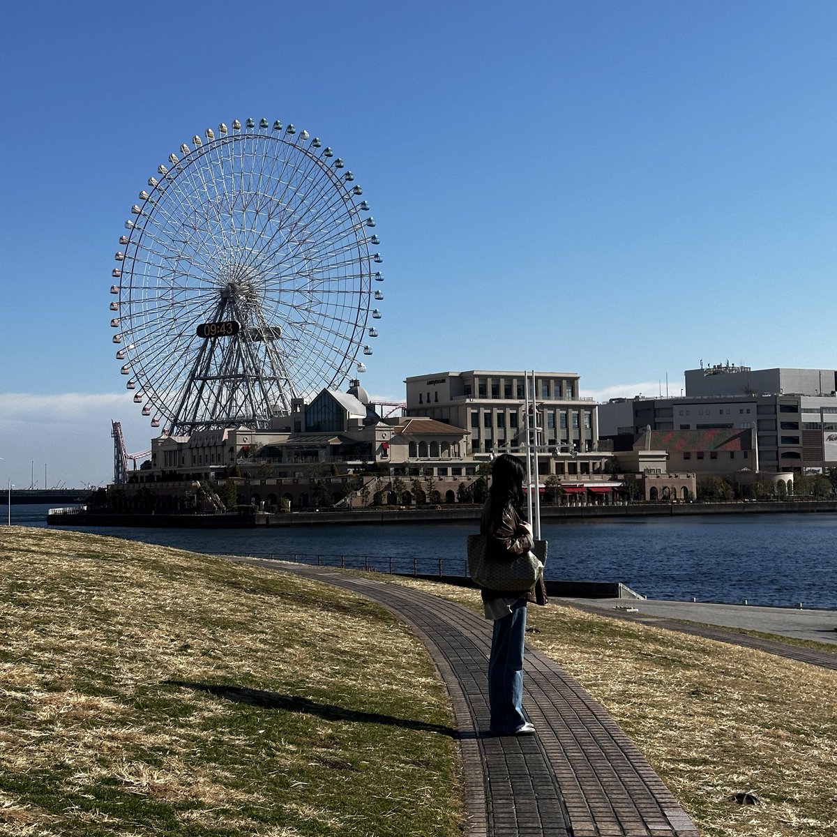 yokohama 🌳