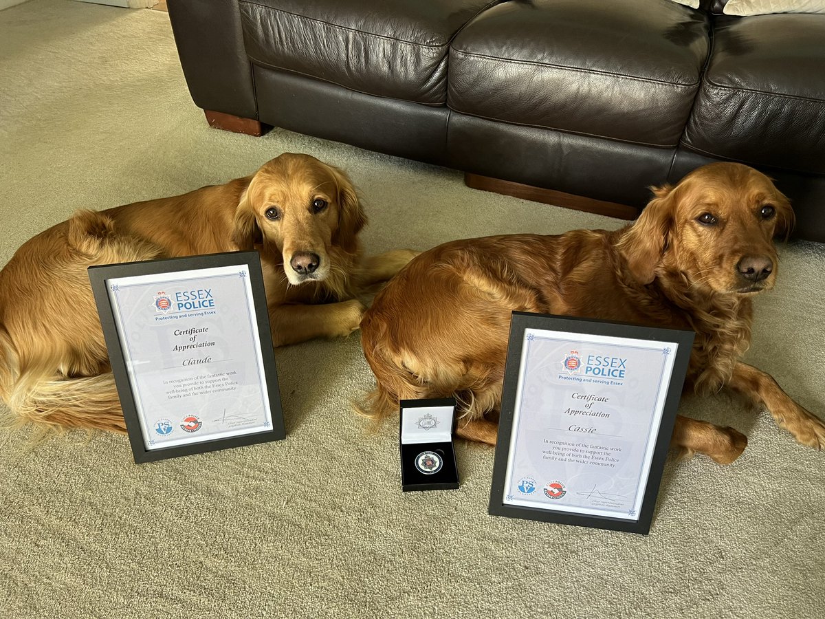 Yesterday our drivers went to an event celebrating Police Volunteers of both the 2 and 4 legged varieties. We got a certificate each! We couldn’t go as we were told buffet & dog hair not a great mix! @OscarKiloNine @BJH251 @DCCAndyProphet @PBaloo