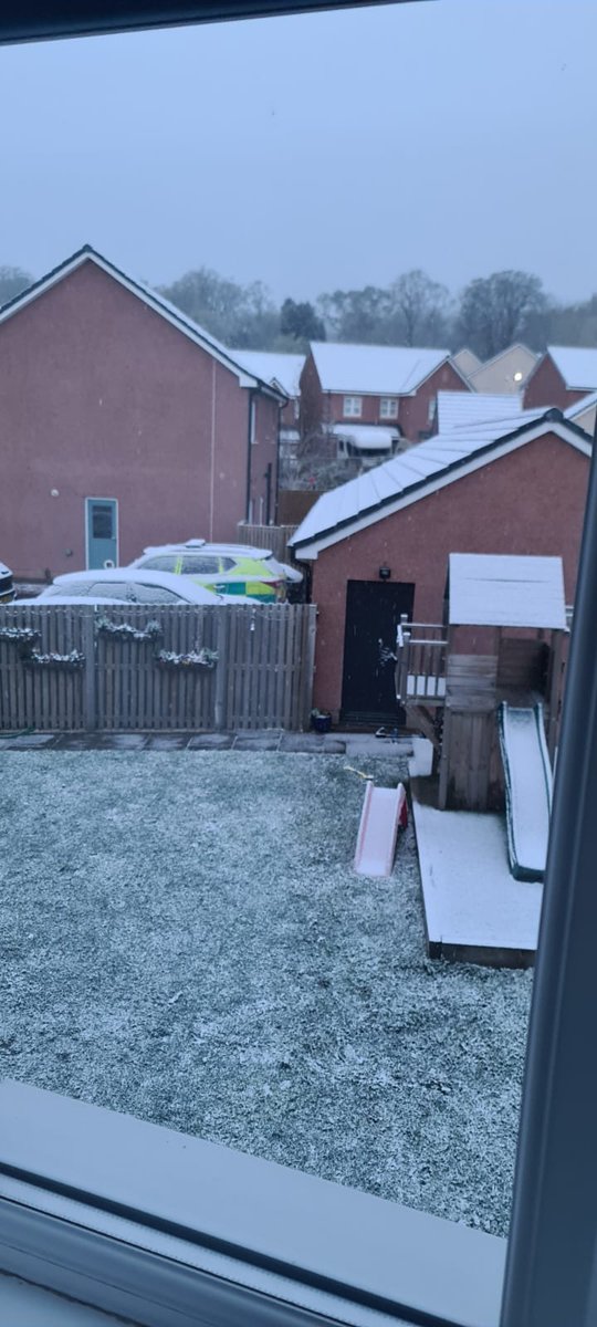 BirdingBorders tweet media