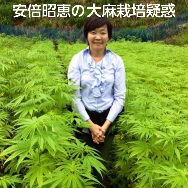 大麻グミ”を製造・販売していた会社の元経営者の男らが、違法な成分固形物を保管した疑いで逮捕されました。
医薬品医療機器法違反の疑いで逮捕されたのは、大阪市にあった危険ドラッグ販売店の元社長、松本大輔容疑者（39）ら2人です。
安倍昭恵の栽培‥どうなの