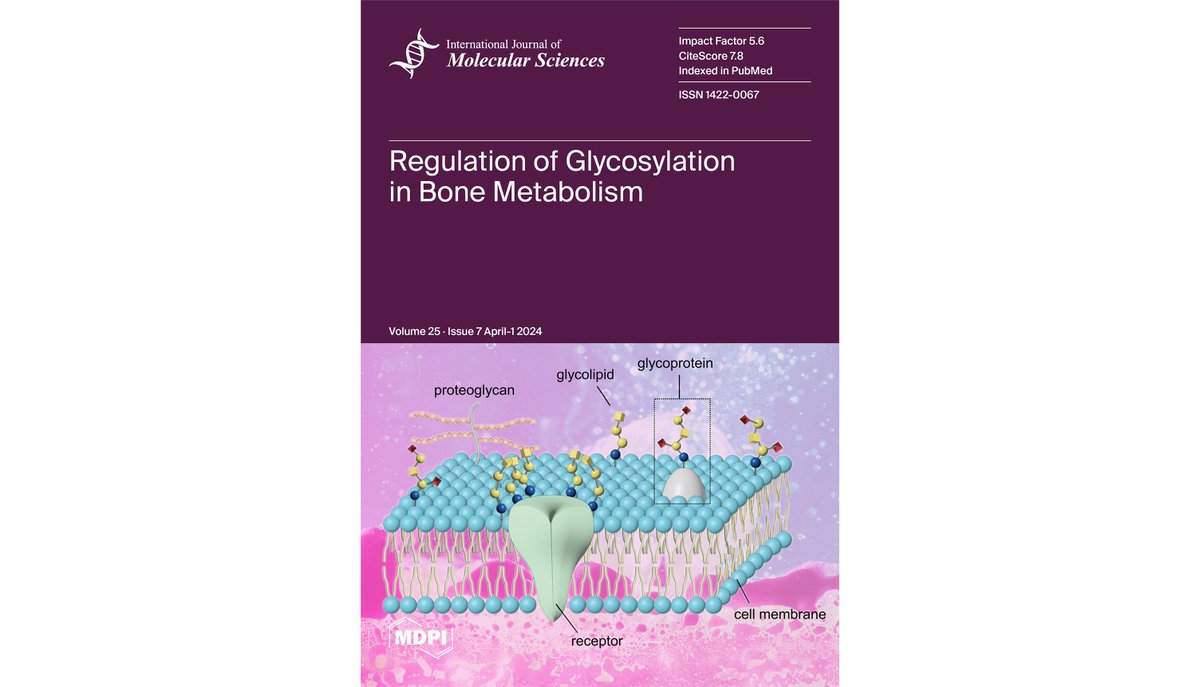 📢IJMS Volume 25 Issue 7 has been released! 📚Check the cover paper 'Regulation of Glycosylation in Bone Metabolism'! 👨‍🔬By: Prof. Kazunori Hamamura et al 🔗Link: t.ly/0zCKh @MDPIOpenAccess @MDPIBiologySubj #glycosylation #glycoprotein #osteoblasts #osteoclasts