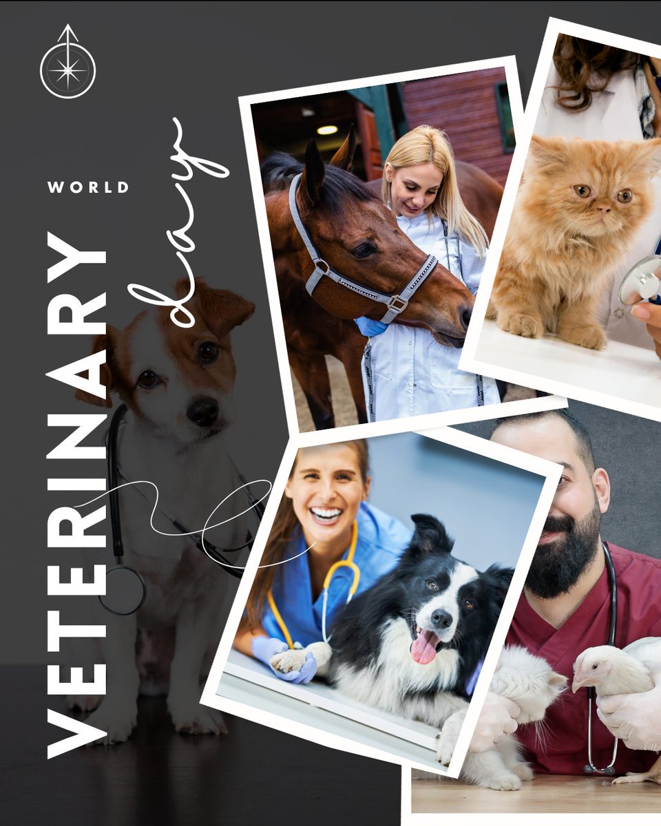 On World Veterinary Day, Orbis Vacations extends its deepest gratitude to all veterinarians for their unwavering commitment to animal welfare.🌍🐶🐱
Mark this World Veterinary Day by aiding injured animals.

#WorldVeterinaryDay #AnimalWelfare #CompassionateCare