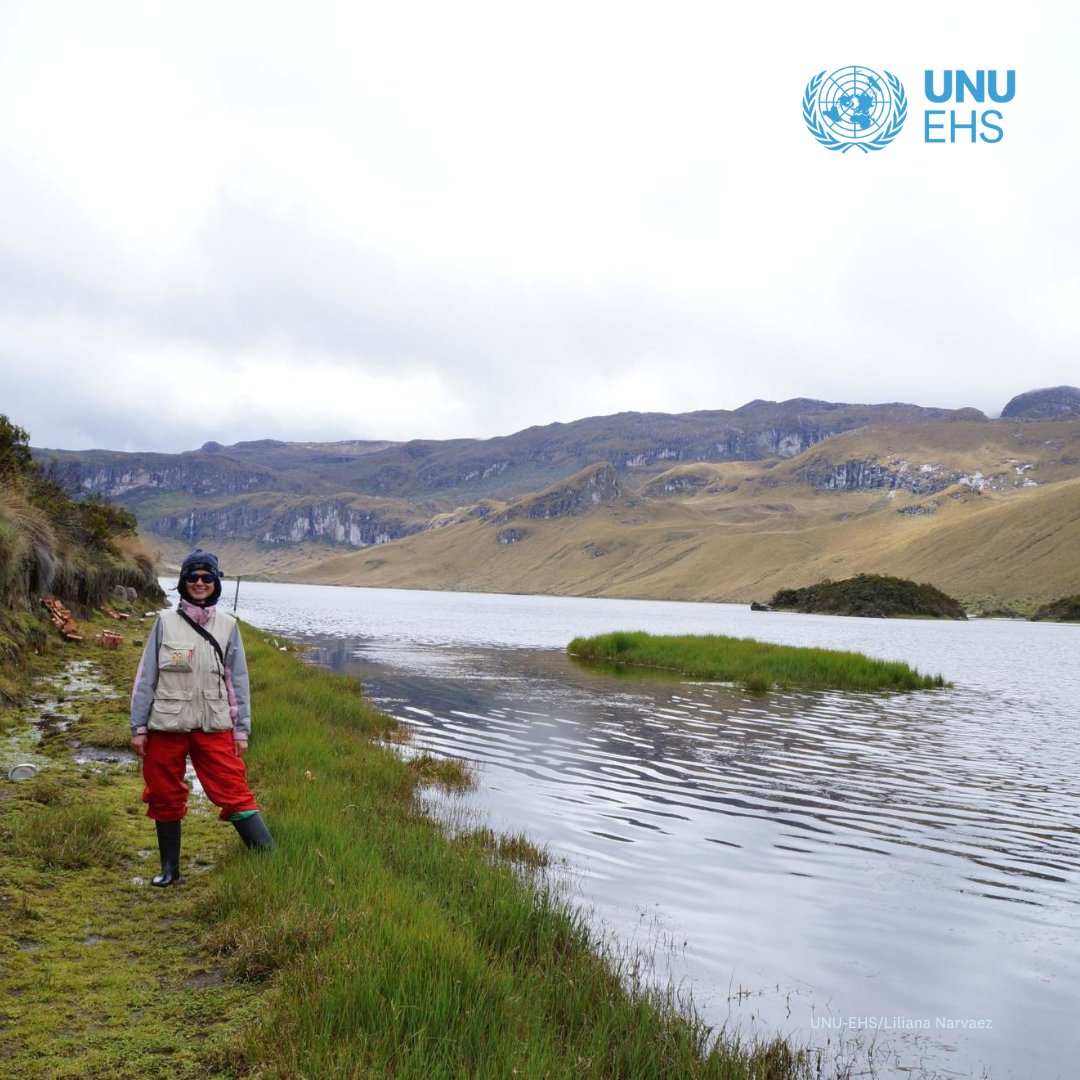 Wetlands are embedded in not just our past, but also our future. Do you agree? 💚 YES! 💚 Of course! UNU-EHS expert Liliana Narvaez shares more about the role wetlands play in our lives. unu.edu/ehs/news/conve…