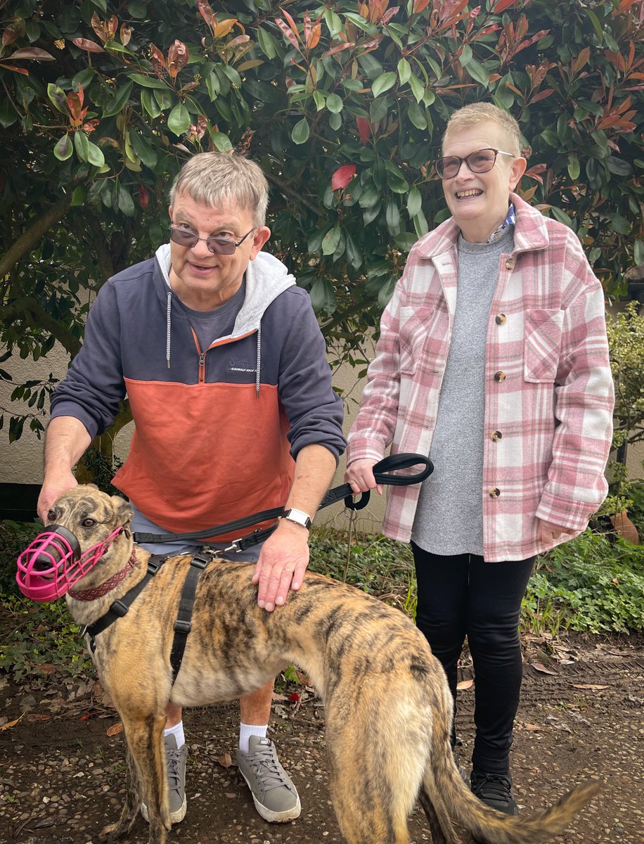 #ForeverHomeFriday Good news - lovely Rose is home...forever! 🎉 Roses's new mum and dad visited twice, second time with their grandchildren to ensure they were a good match. Everyone got on really well, and she was soon heading home to Dorset with her lovely new family! 😁