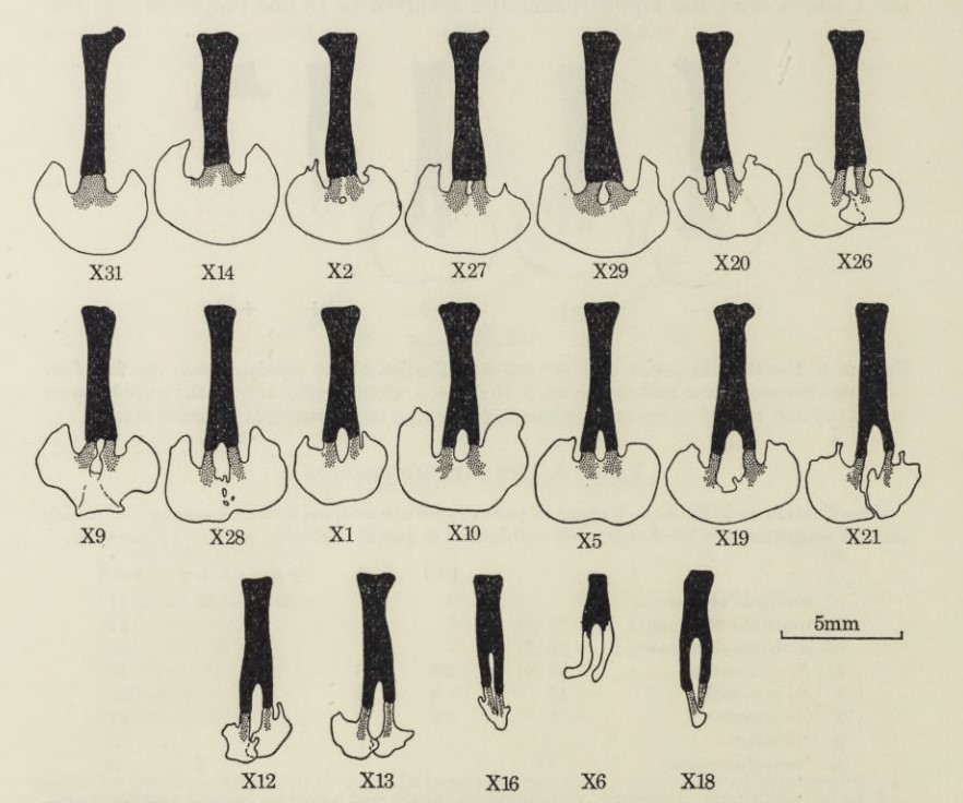 RSocPublishing tweet picture