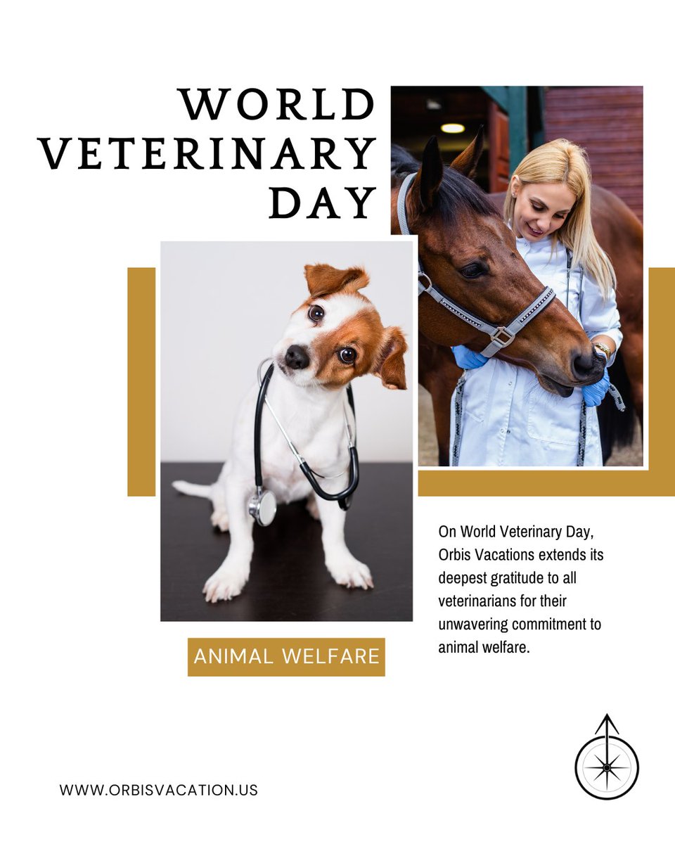 On World Veterinary Day, Orbis Vacation extends its deepest gratitude to all veterinarians for their unwavering commitment to animal welfare.🌍🐶🐱
Mark this World Veterinary Day by aiding injured animals.

#WorldVeterinaryDay #AnimalWelfare #CompassionateCare