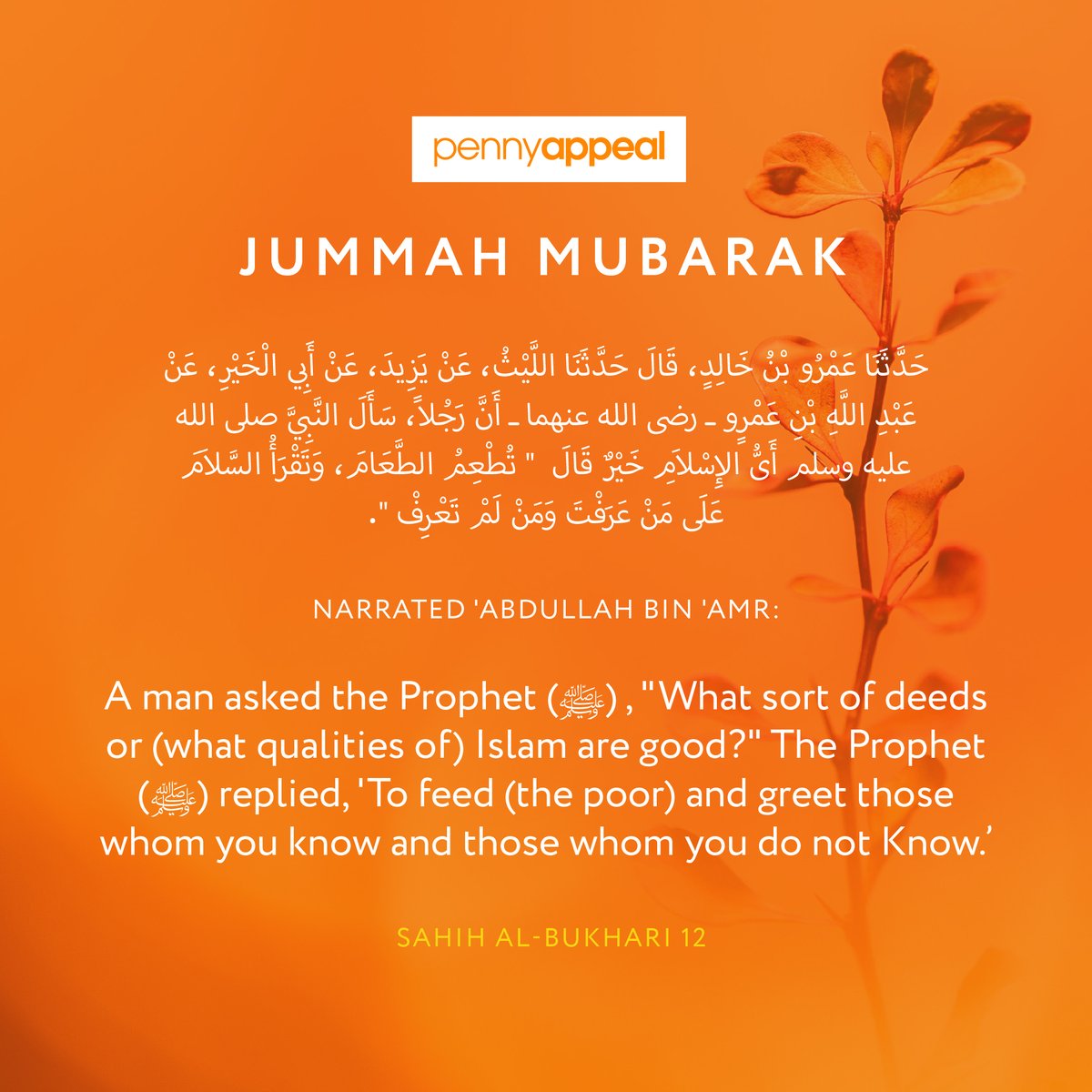 Jummah Mubarak. 🤲 On this blessed Friday, let us be reminded of our duty to feed our brothers and sisters who are facing adversity, and to treat all with respect whether we know them or not. Give the precious gift of food for £50 today: pennyappeal.org/appeal/feed-ou… #Jummah #Islam