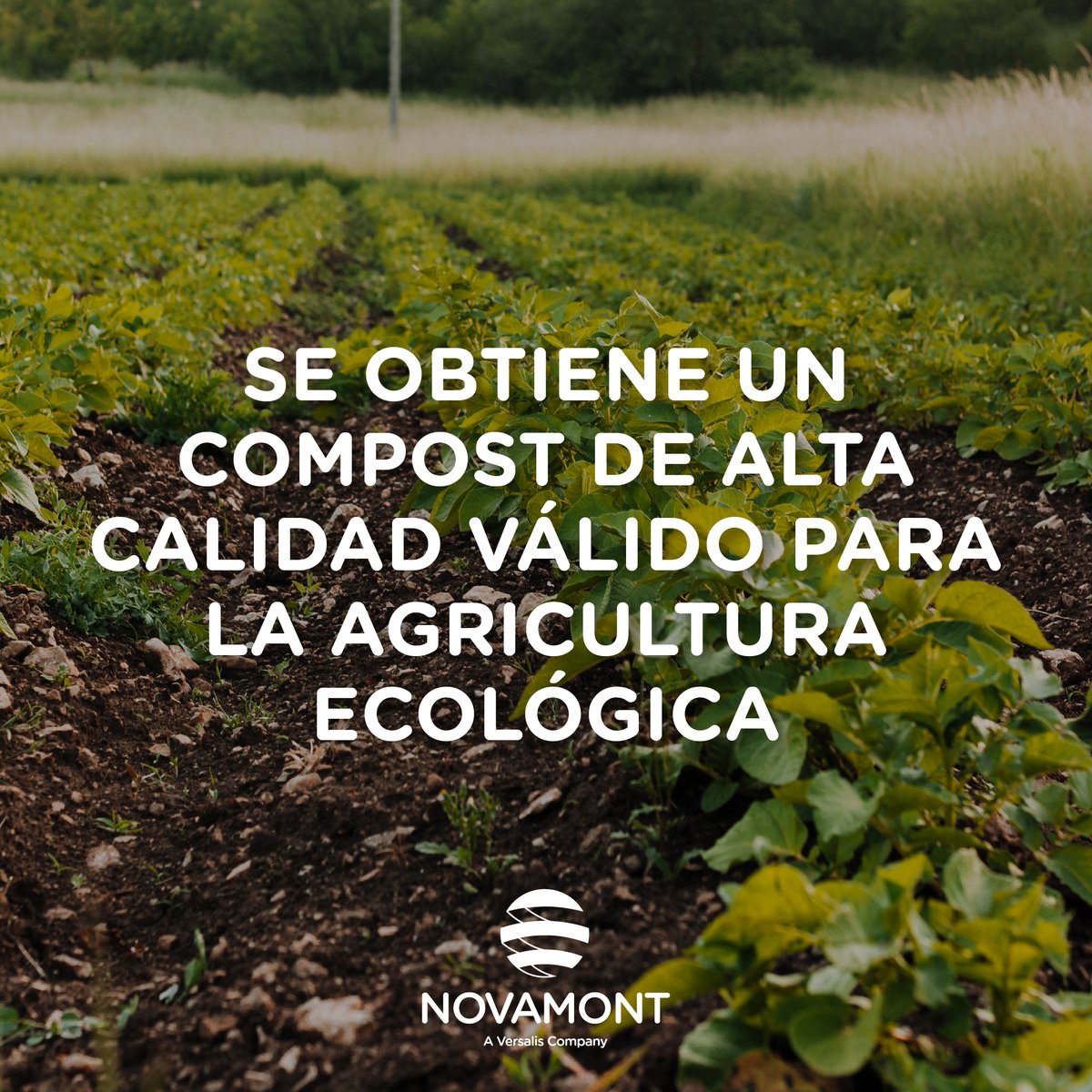 Los plásticos #compostables de uso comercial se integran con éxito en un proceso de #compostaje a gran escala.  
Este es el resultado de un estudio reciente que demuestra la calidad del #compost al final, sin ningún impacto negativo ni de ecotoxicidad en el proceso, y además