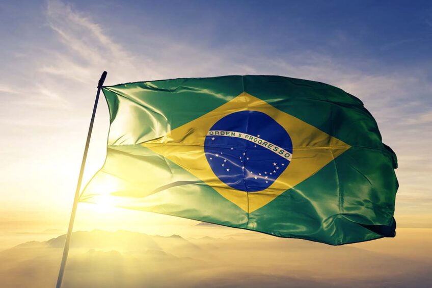 At the beginning of this year, diversification of destinations led Brazil to a new record for pork exports. To read more about Brazil's pork exports, go to Pig Progress! ⬇️ ow.ly/XJ9J50RoOqe #Brazil #Export #Pork #Destinations