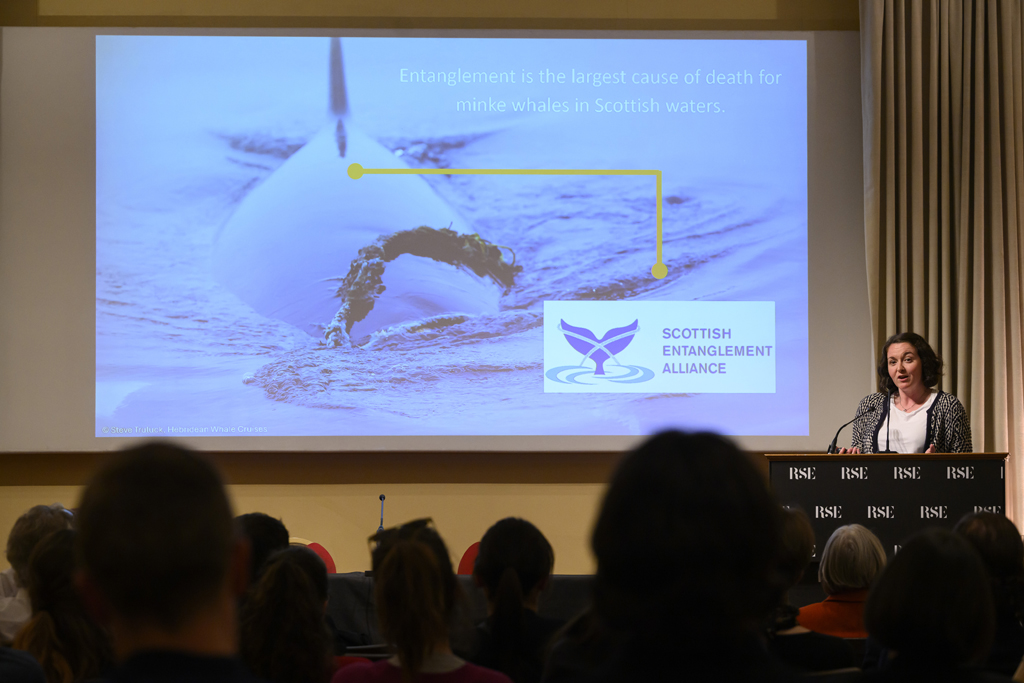 Diving into #WhaleTalk 🐋🐳 We worked with the @RoyalSocEd to address MSPs, policy advisers, businesses and the third sector on the importance of marine mammal monitoring. 'Scotland: Europe's Whale Watcher' demonstrated how Scotland could be the European leader in this field.