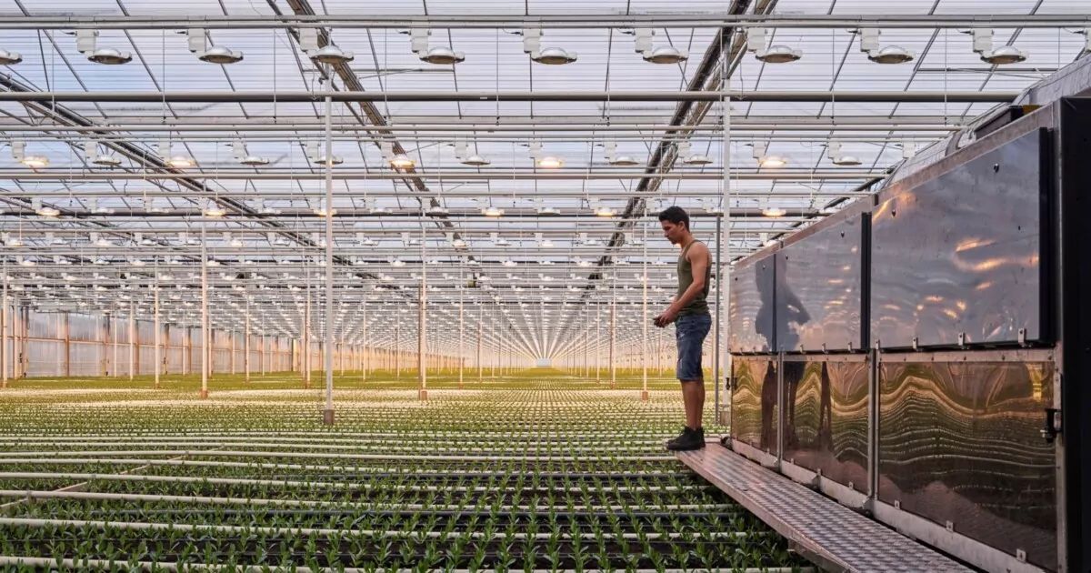 For the planet and people: IBM's focus on AI ethics in sustainability - IBM Blog ibm.co/3UxxFn2