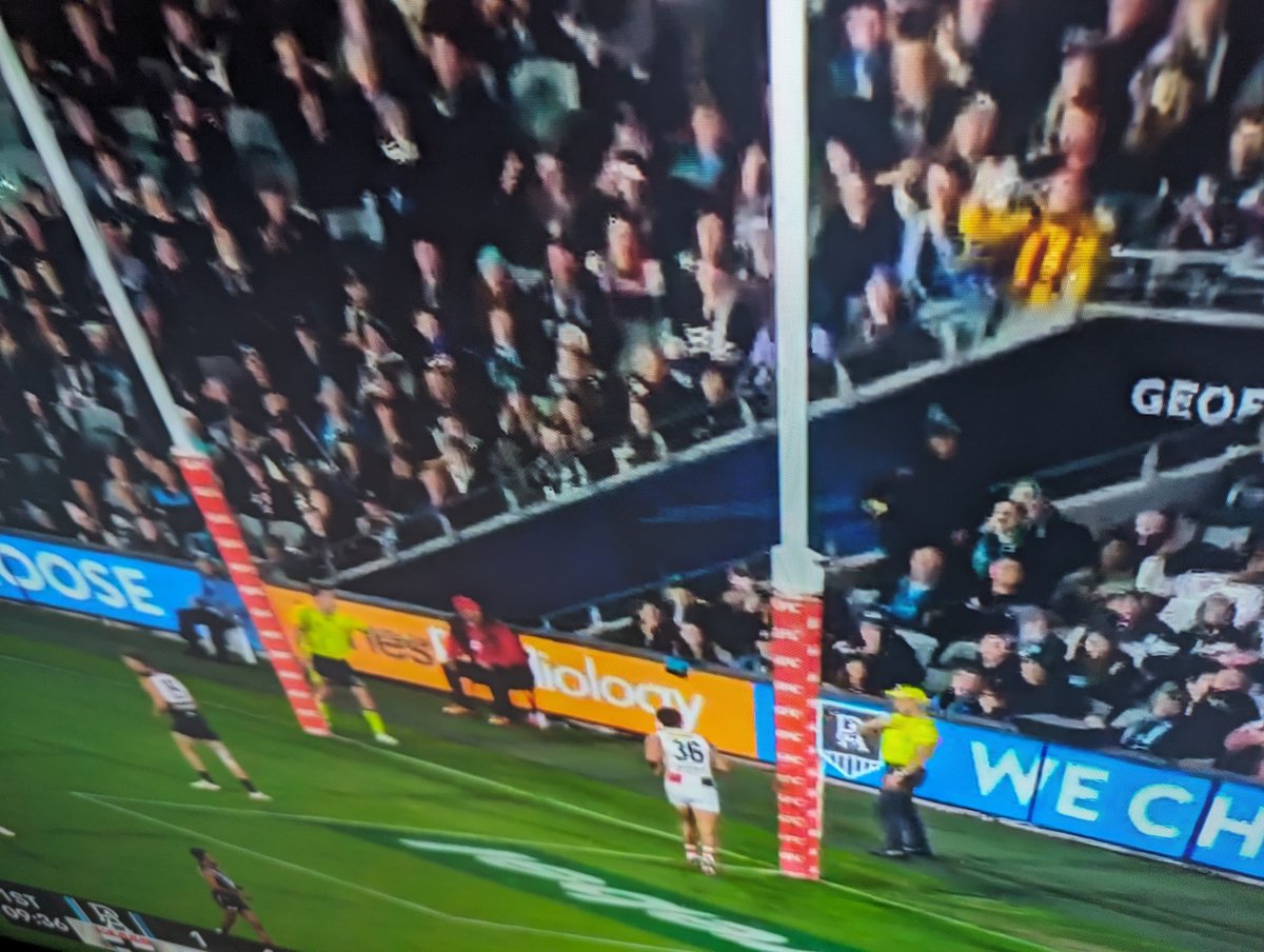 hawksconspiracy's tweet photo. #aflpowersaints https://t.co/XXLyfBjfjc
