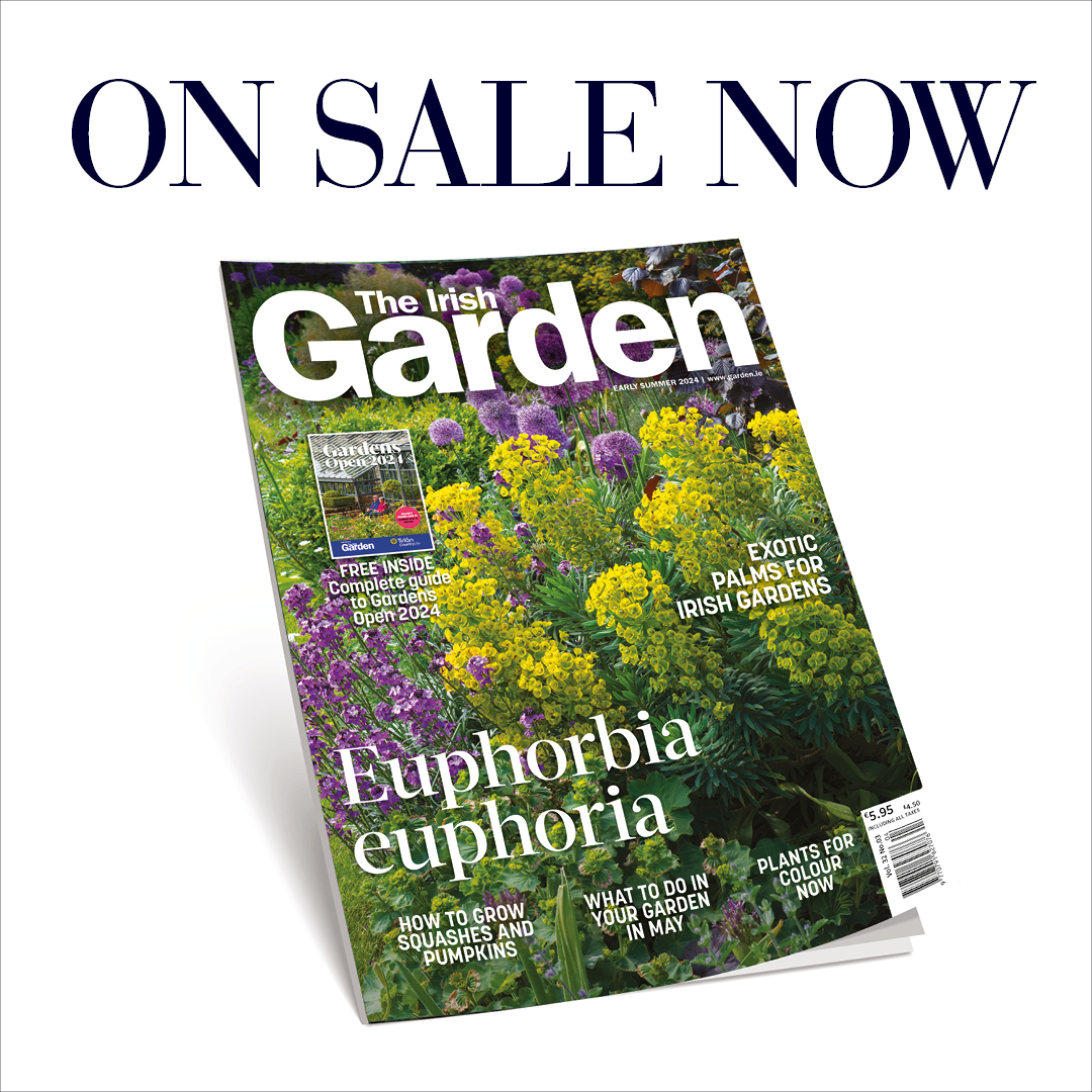 The Early summer issue of The Irish Garden is on sale now, with a FREE complete guide to Gardens Open 2024, get yours today or never miss a copy when you sign up here 👉eu1.hubs.ly/H08R1r50