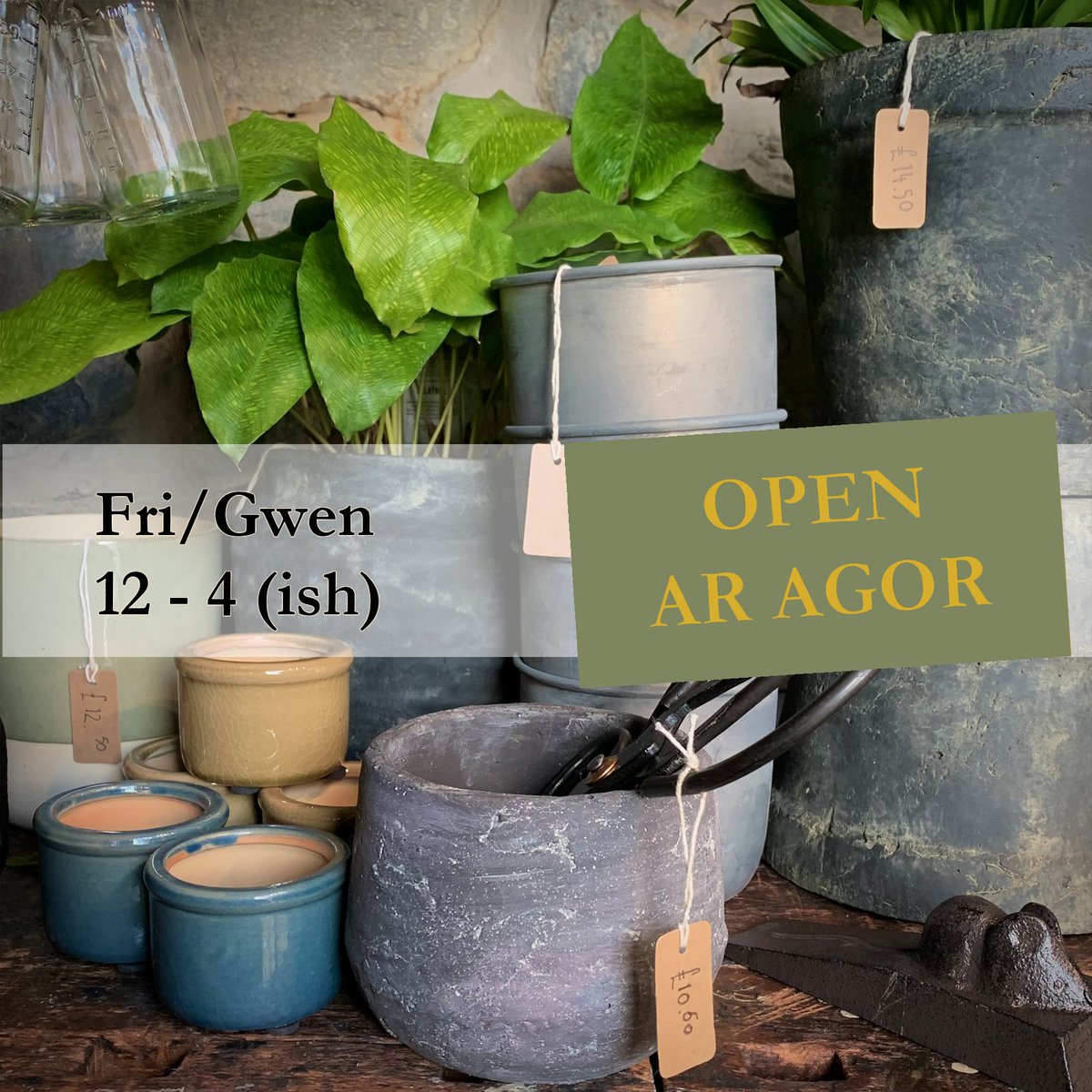 Glorious day out there, perfect time to pop into your local indie businesses 😉
I have been repotting a rescued houseplant that's recovering well today, we got some great pots to set them off in the shop.

#Llanrwst #conwy #northwales #indieretail #homedecor #InteriorDesign