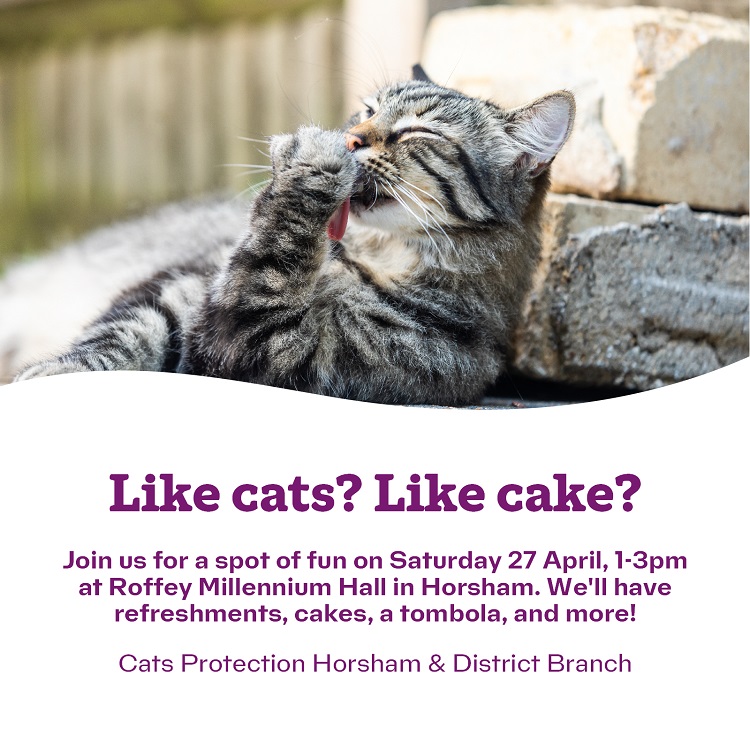 This #Caturday our #volunteers will be working hard to raise funds for the #Cats in our care. We'd be grateful if you can come along and support us😻 #cakes #tombola #gifts #CatsOfX #CatsOfTwitter