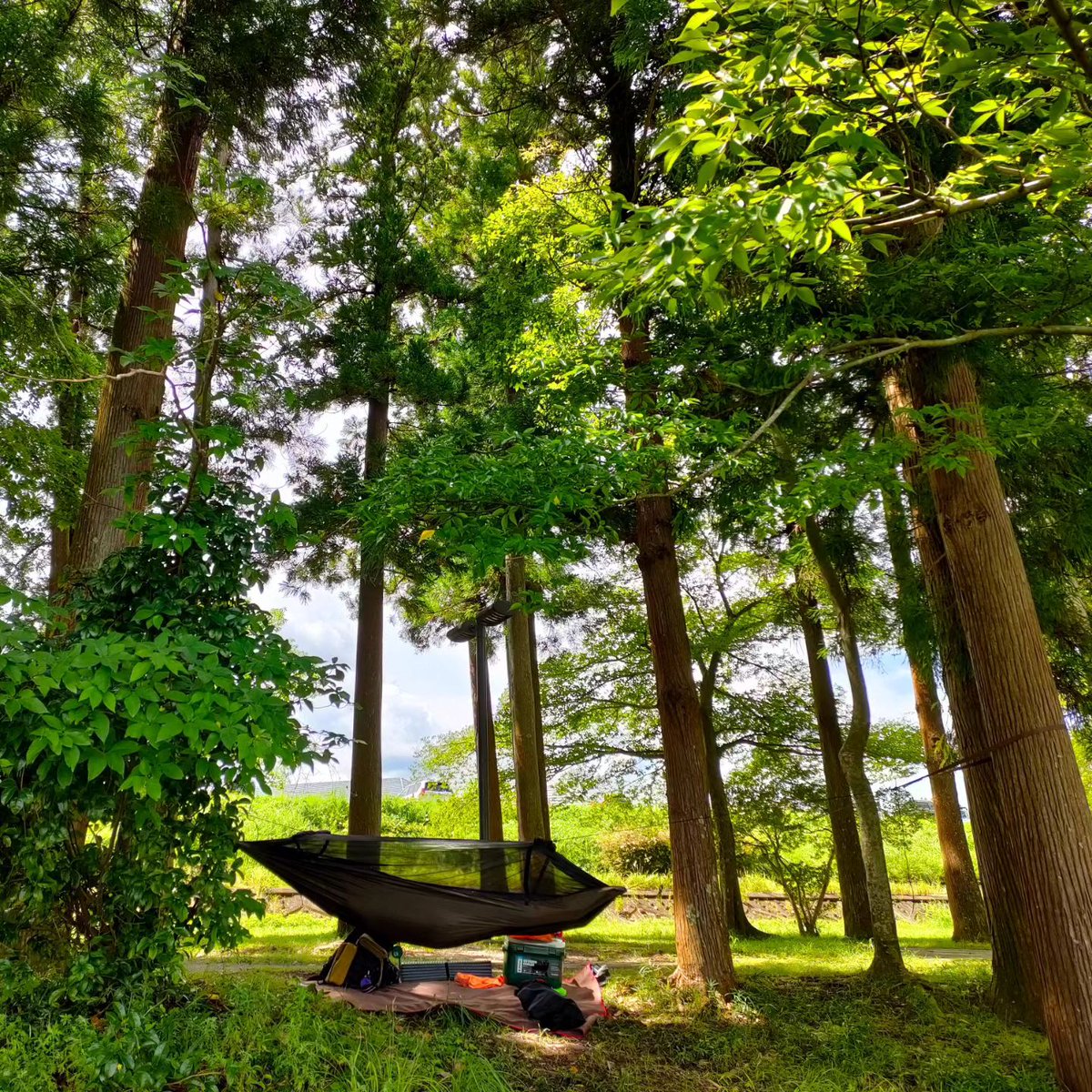 We've got that #Fridayfeeling! Do you? 😉⛺️

📸: @ chanchaicovsky

#ddhammocks
#bushcraft 
#camping 
#weekend
#friyay
#weekendmotivation