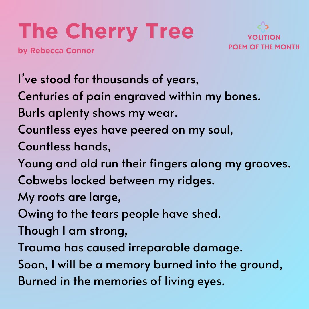 This is the first instalment of Volition Poem of the Month and the chosen poem is by Rebecca Connor, it was written during an outdoor Eco poetry workshop thinking about trees in the cathedral grounds. #bloomtown #poerty #cathedral #manchester #work #volunteer 😊🌳🌞