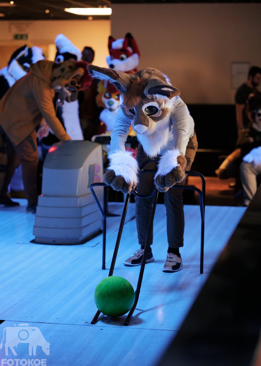 what do you do when you got a group of bored furries on a saturday? obviously you go bowling. pic by me. #FursuitFriday let's see who I can tag in this group @Lucasdutchfloof @TruffelWusky @Marin_en_Ko @MienoTheBadger @ThaboMeerkat @Tixiefox @Aviverine then I ran out of names