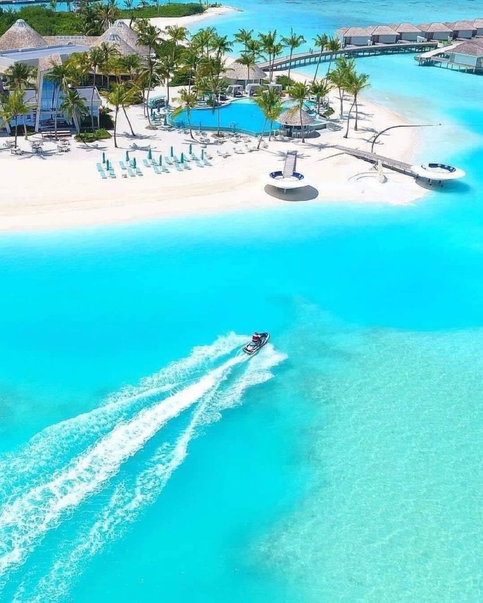 🇺🇸 Yulia Schreiber 🇺🇸 (@yuliaSchreiber)  Posts  X