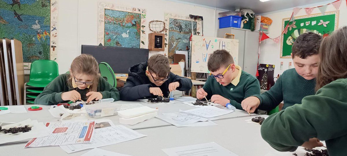 For #WalesOutdoorLearningWeek, pupils from KS2 Learning Resource Base, Alway Primary School visited GWT's Magor Marsh for a nature walk, then headed back to the education centre to dissect owl pellets. @AlwayPrimary @WalesCouncil4OL #education #nature #climatechange