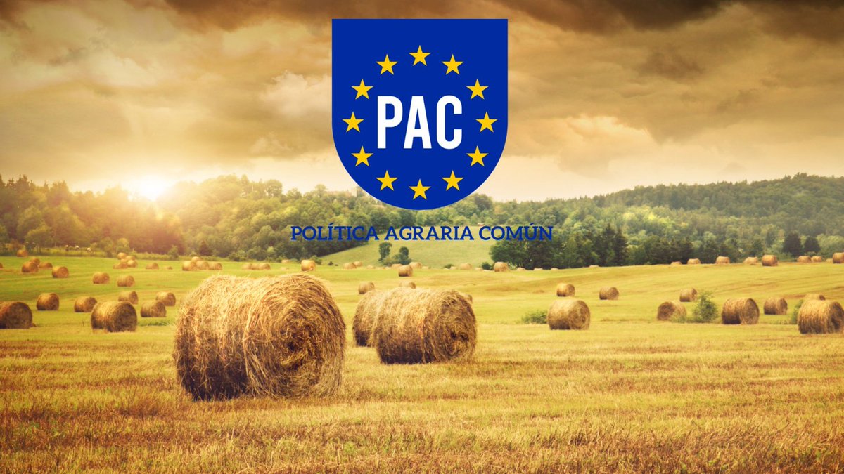 Te informamos de cuáles son los elementos aplicables para la #SolicitudÚnica 2024 y siguientes tras la aprobación por el Parlamento Europeo del paquete de simplificación de la #PAC. 👉🏽asajasevilla.es/noticias/pac/i… a través de @ASAJASEVILLA
