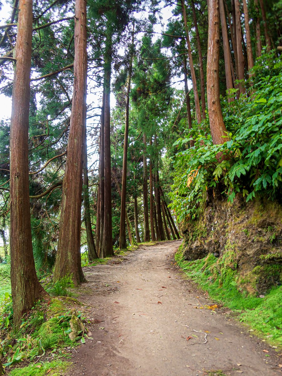 Açores…