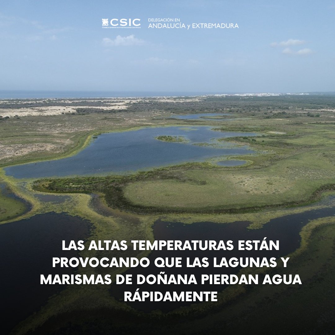 Datos de la @ebdonana muestran que sólo el 1,9% de las lagunas temporales están inundadas y que la profundidad de las marismas es escasa, a pesar de que la superficie inundada es del 78% t.ly/i-rJW