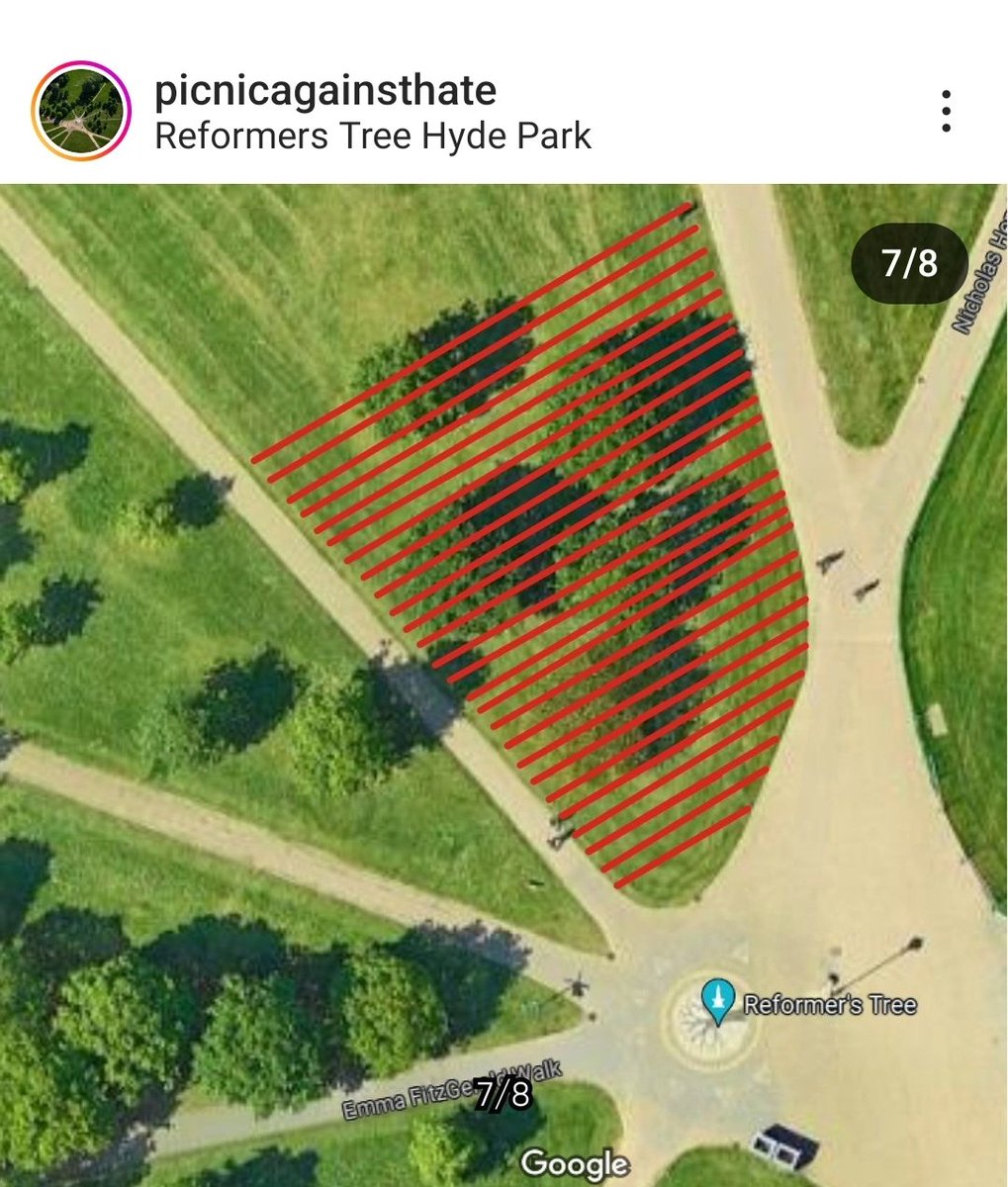 We're at Reformers Tree this Sunday. There will be a group of interrupters holding a 'picnic' at the same spot we usually use (2nd pic). Their plans are all nicely laid out on their Instagram page, thanks boys. This information was given to our Met police Liason, and a great plan…