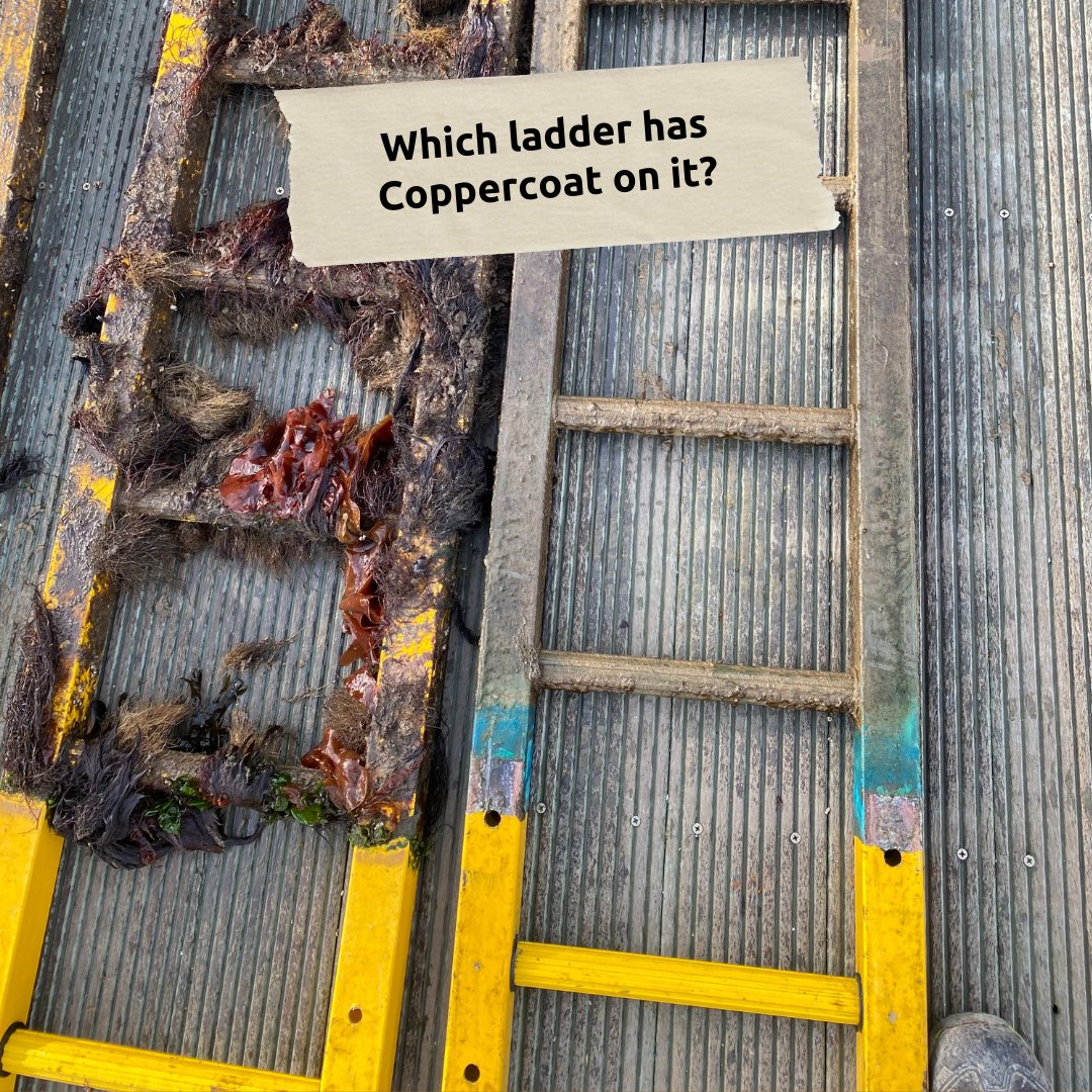 We think you know the answer to this! Coppercoat is not just for boats... it is suitable for any structures that are immersed and need protection from fouling.