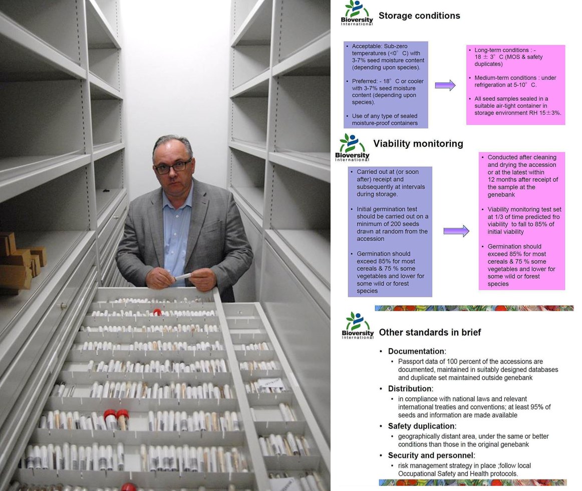 #DNADay - #DzieńDNA - #agrobiodiversity
👨‍🎓🧬🧩💚📈👍🍞🌾💚📈🧑‍🌾🧩❤️
#InternationalSeedsDay 
#agrobank #NCBR - #seeds #farmers
#FAO standards for #genebank #management
🧬🧩💻👨‍🎓📲👨‍🌾📈🍞💚
 #CropTrust #AgData #data #agriculture #plantbreeding #germplasm #foodsecurity #climatechange