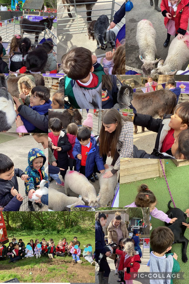 Nursery AM have had the BEST morning ever! We had a visit from ark farm who brought lots of animals for us to stroke, the children loved the sheep and said they were so fluffy! We also had a bouncy castle and an ice cream van! #makingmemories #thejcway 🐑🐔