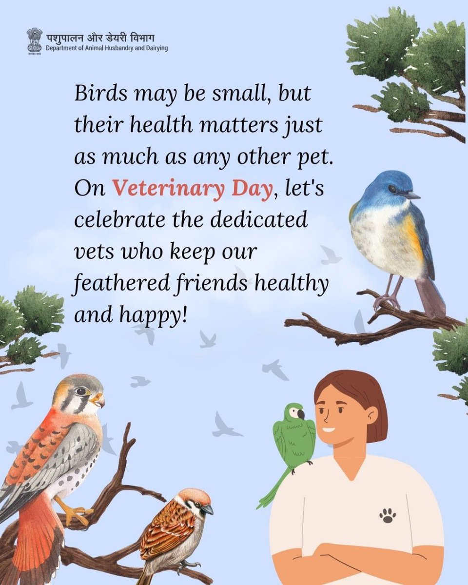 Birds may be small, but their well-being is of paramount importance. On Veterinary Day, let's applaud the devoted veterinarians who ensure the health and happiness of our feathered companions! #VeterinaryDay #BirdHealth #veterinariancare #animalwelfare #OneHealth #petcare