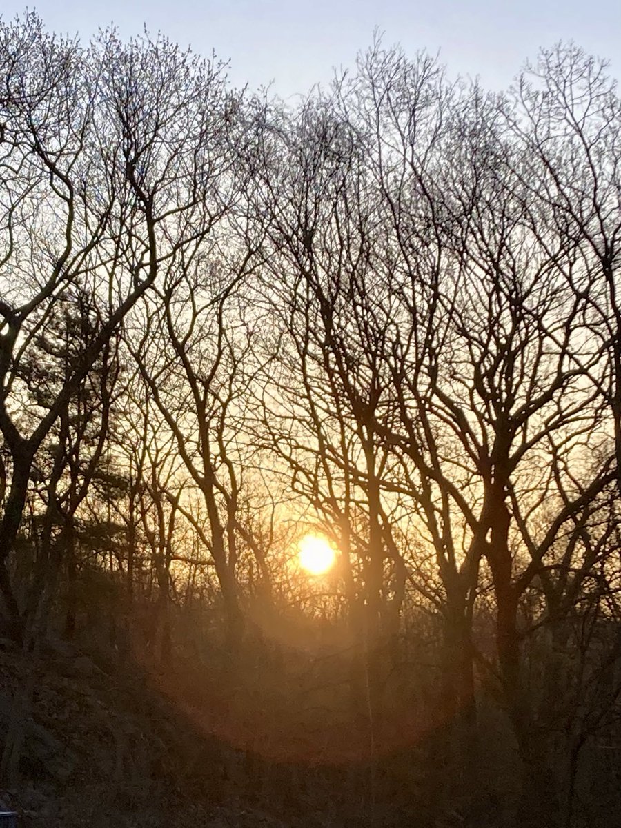 #GoodMorning #NaturePhotography
#Naturephotography
#photography #Photography 
#nature #naturelovers
#tree #sky #sunrays #Friday #TGIF 
#sunrise #outside #seasons 
#April #naturesbeauty 
#Spring #sun #suncolors #dawn