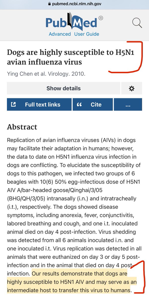 3) Not just cats — certain dog breeds (like beagles are highly susceptible to H5N1 avian flu too. And such dogs can facilitate their adaptation towards humans eventually (since more dogs are around people than dairy cows). pubmed.ncbi.nlm.nih.gov/20580396/