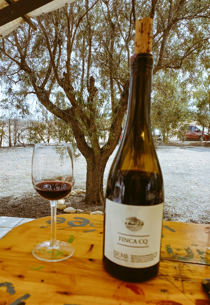 TomakyCT's tweet image. 100×100
Monastrell en estado paciente para formal algarabía en tu paladar.
#winelovers #brumadelestrecho