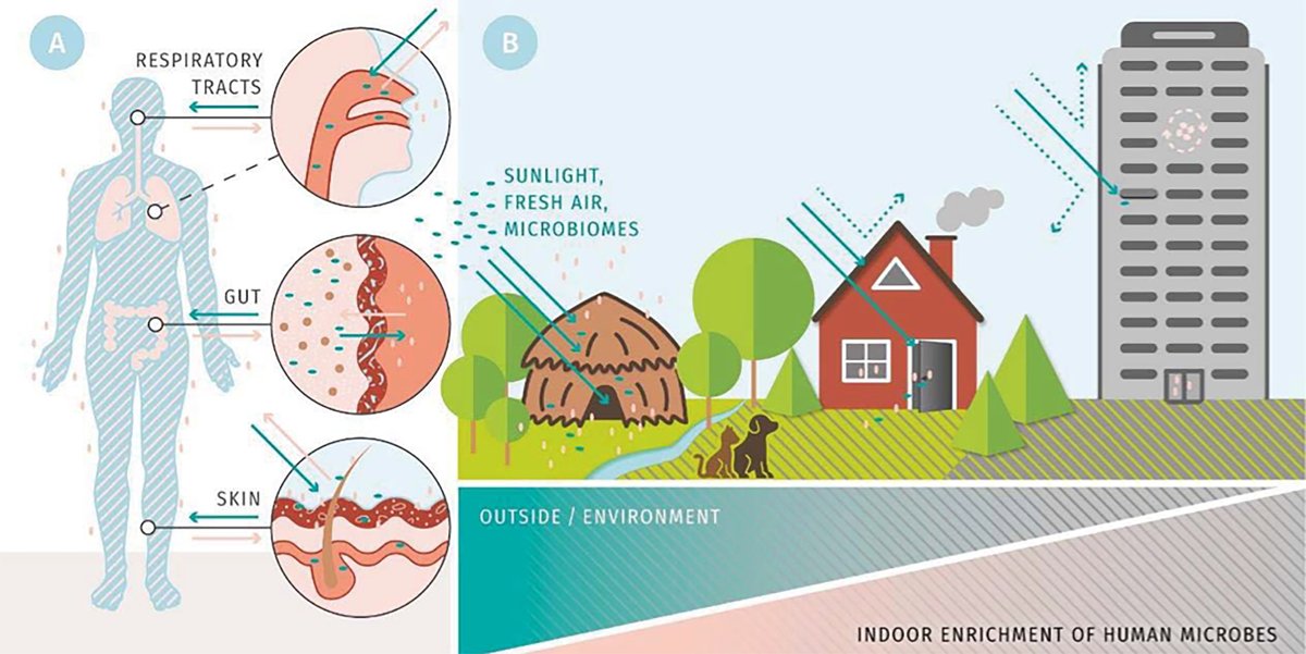 How buildings influence the #microbiome and thus human health: metaorganism-research.com/news/how-build…