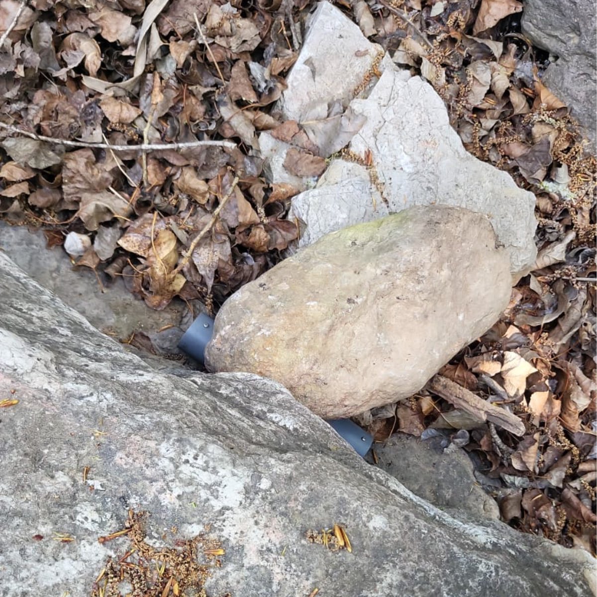 L'Observatori del Patrimoni Natural i la Biodiversitat impulsa l'Atles de Mamífers de Catalunya, sota l'empara de la Generalitat de Catalunya i diverses institucions científiques del país com el Museu de Ciències Naturals de Granollers.