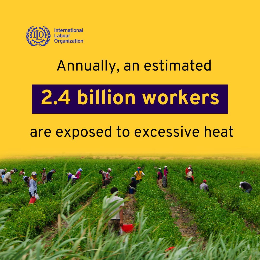 2023 was the warmest year on record🌡️ 🚨Excessive heat, extreme weather, air pollution, vector-borne diseases➡️ #ClimateChange poses serious threats to safety & health of workers everywhere. 📢New @ilo report highlights #climatecrisis impact on workforce👉ow.ly/gTbZ50RkYbJ