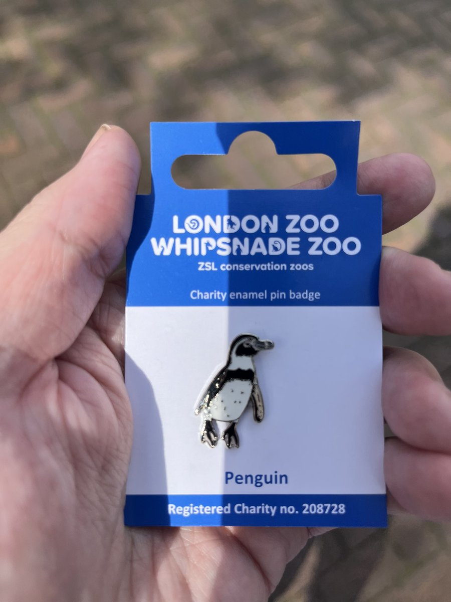 Got my penguin pin badge from @zsllondonzoo for world penguin day